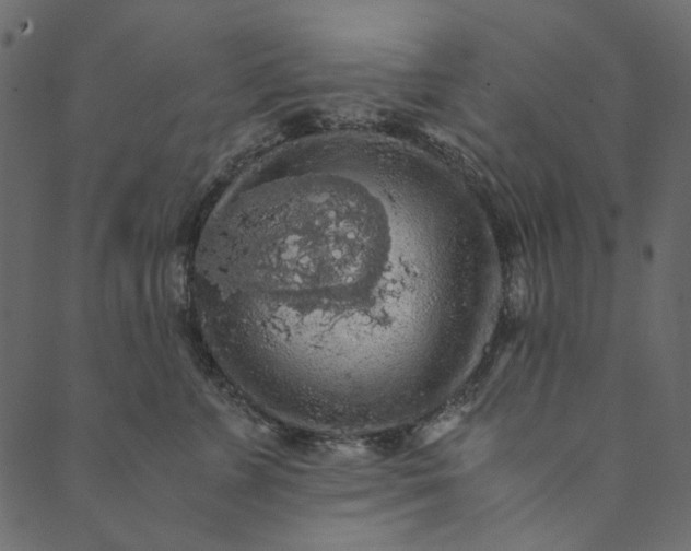 X0000089670715200707121224