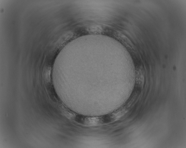 X0000089670717200707121224