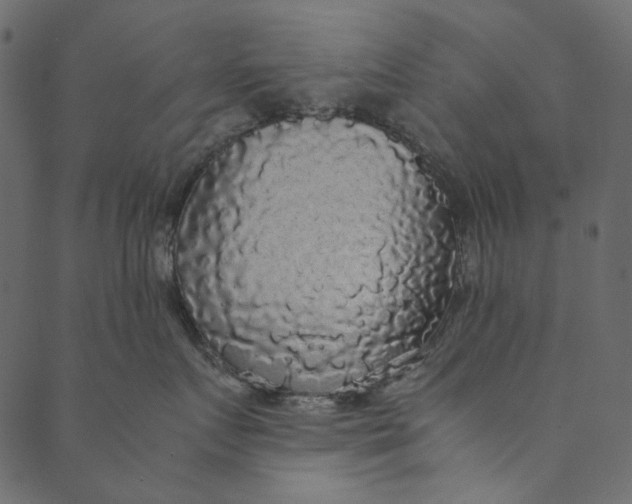 X0000089670719200707121224