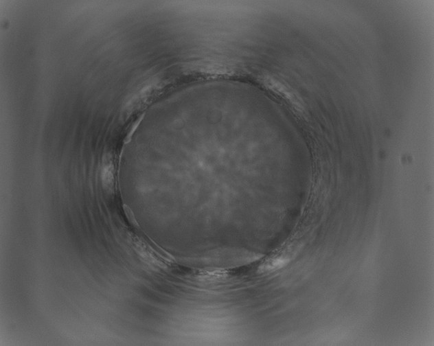 X0000089670720200707121224