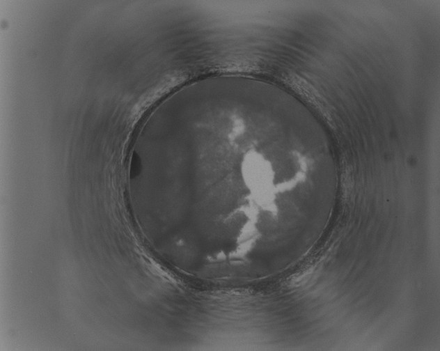 X0000089670721200707121223