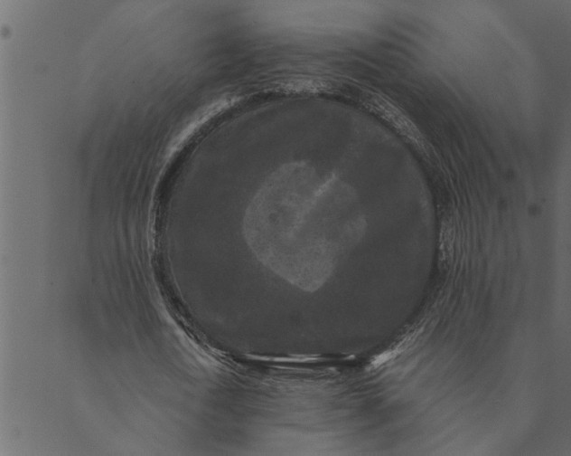 X0000089670722200707121223