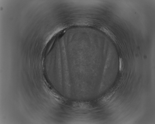 X0000089670723200707121223