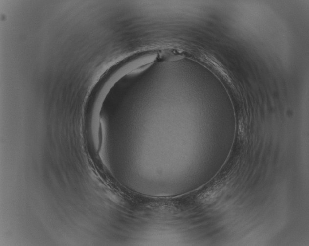 X0000089670724200707121223