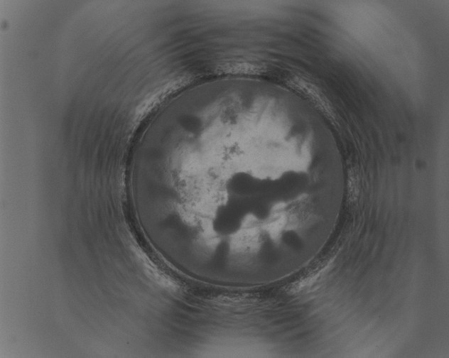 X0000089670725200707121223