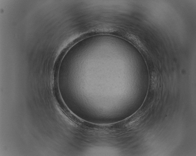 X0000089670726200707121223