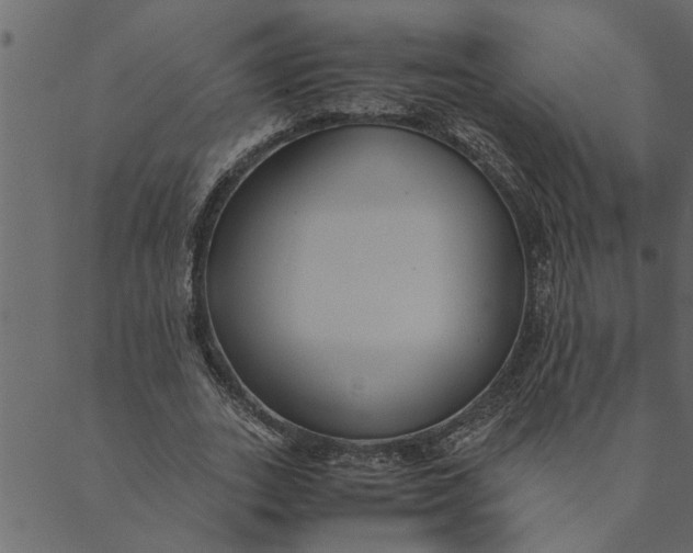 X0000089670727200707121223