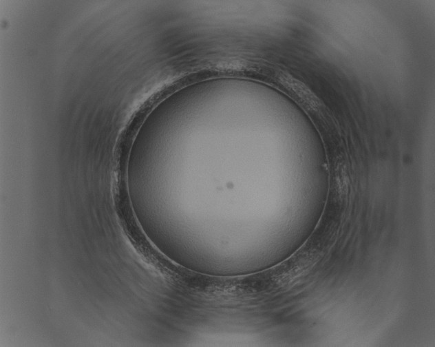 X0000089670728200707121223