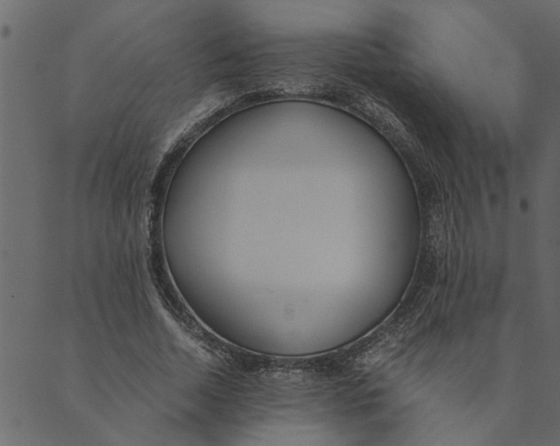 X0000089670730200707121223