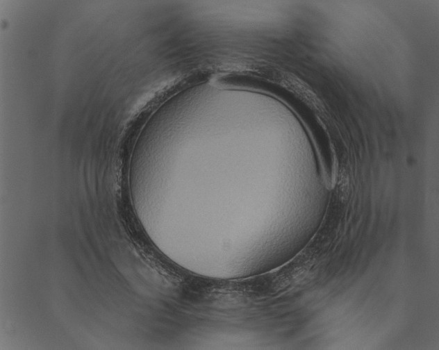 X0000089670732200707121223