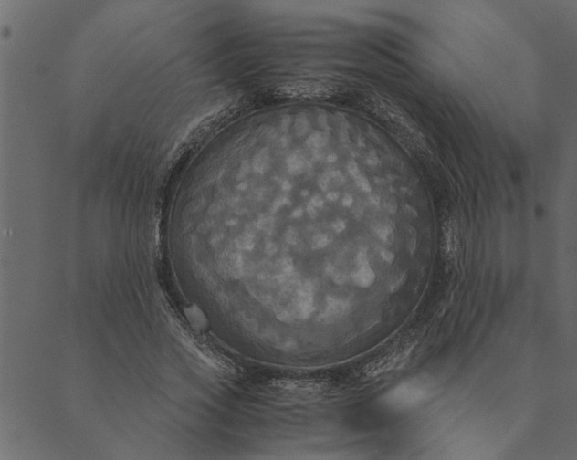 X0000089670733200707121223