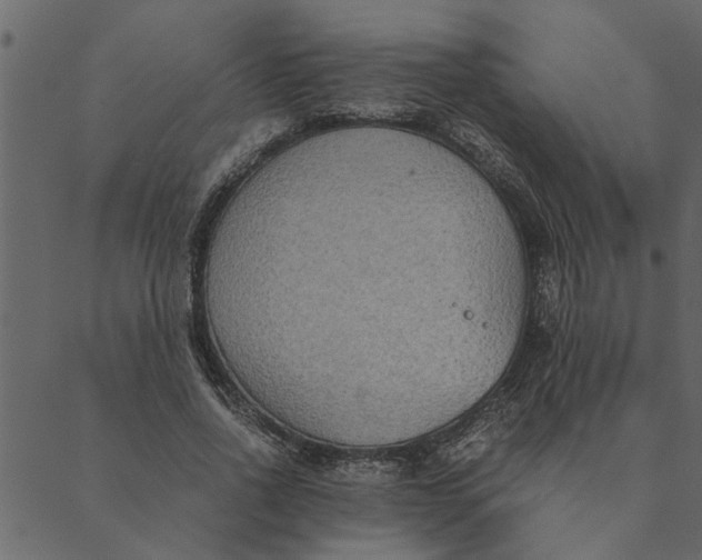 X0000089670734200707121223