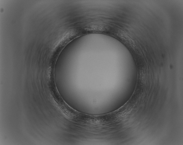 X0000089670735200707121223