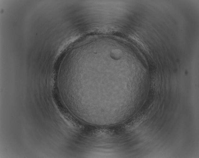 X0000089670736200707121223