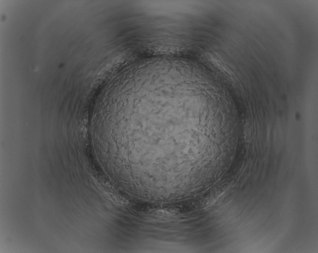 X0000089670737200707121223