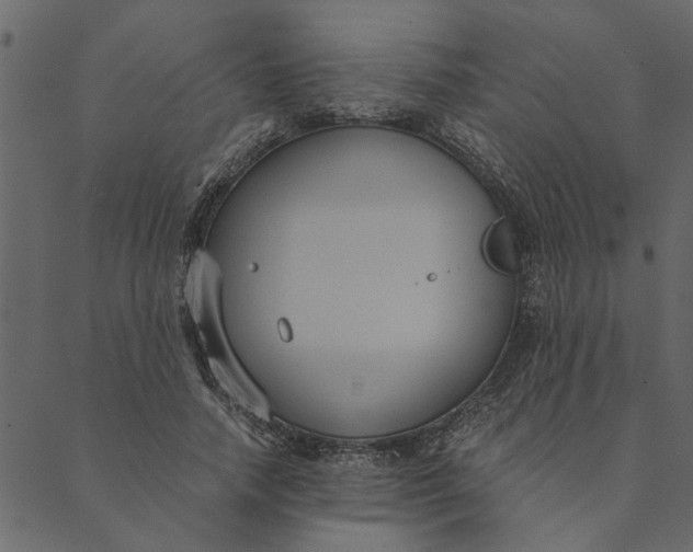 X0000089670738200707121223