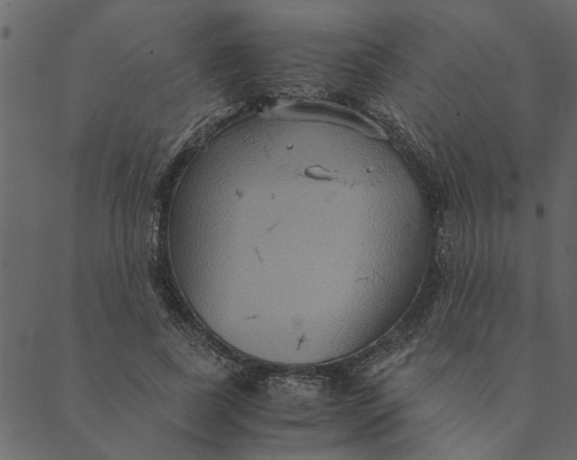 X0000089670739200707121223