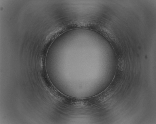 X0000089670740200707121223