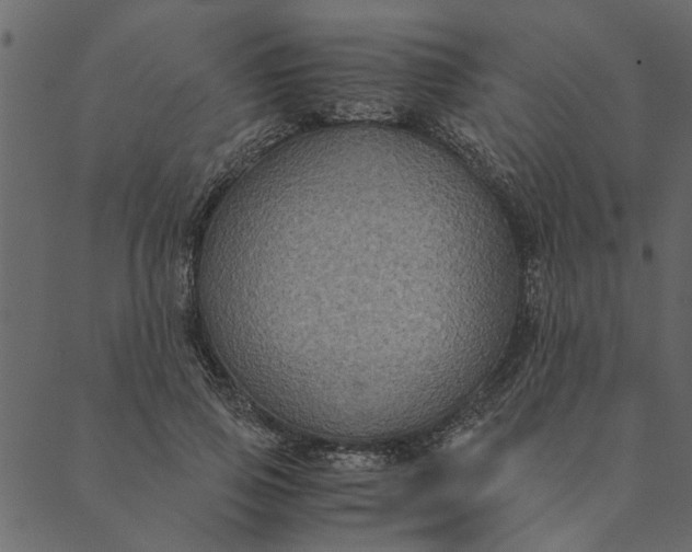 X0000089670741200707121223