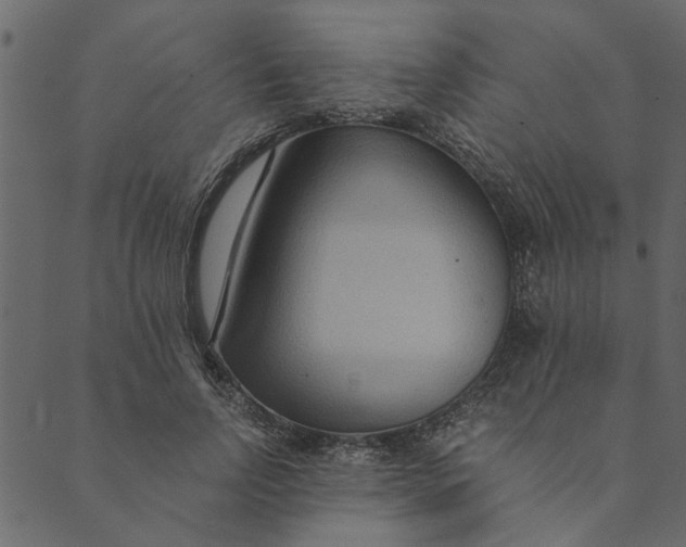 X0000089670742200707121223