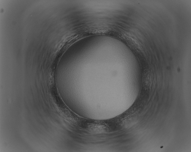 X0000089670743200707121223