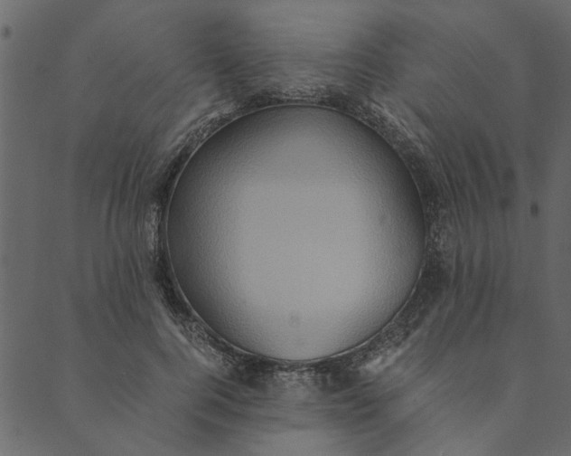 X0000089670744200707121223