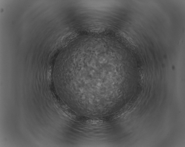 X0000089670745200707121223