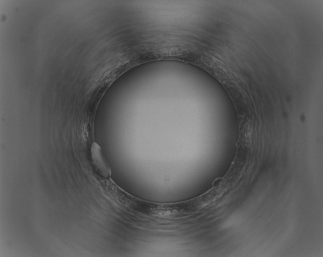 X0000089670746200707121223