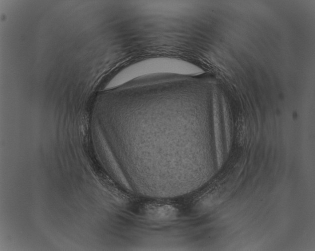 X0000089670747200707121223