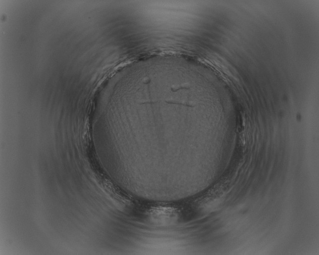 X0000089670748200707121223