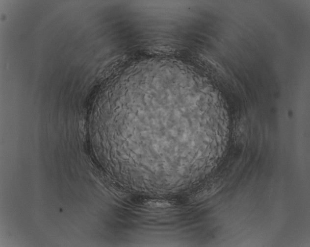 X0000089670749200707121223