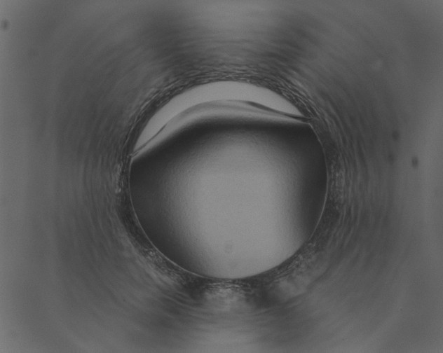 X0000089670750200707121223