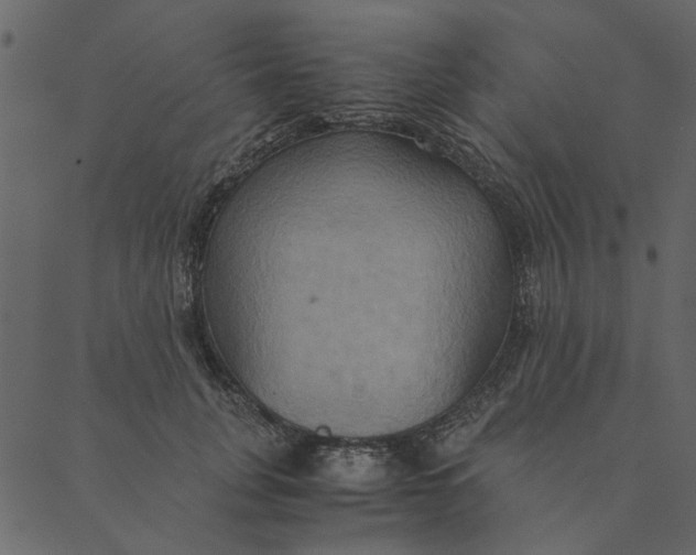 X0000089670751200707121223