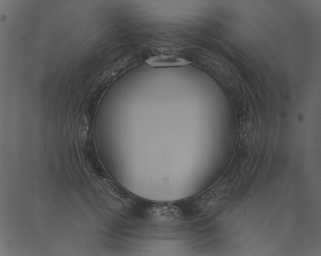 X0000089670752200707121223