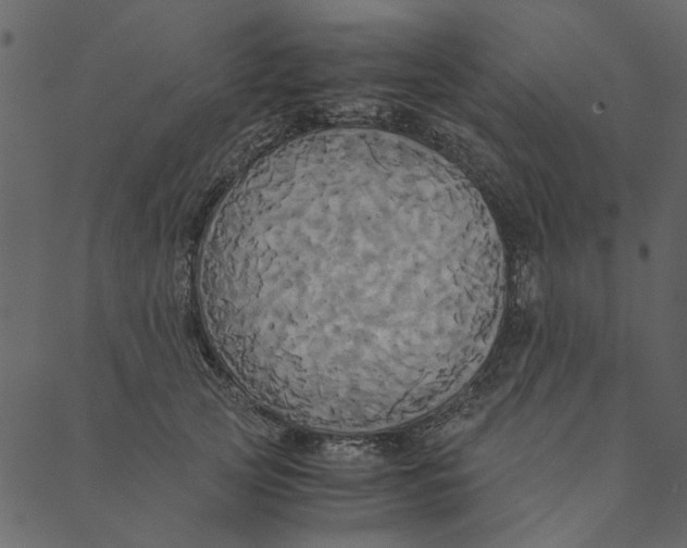 X0000089670753200707121223