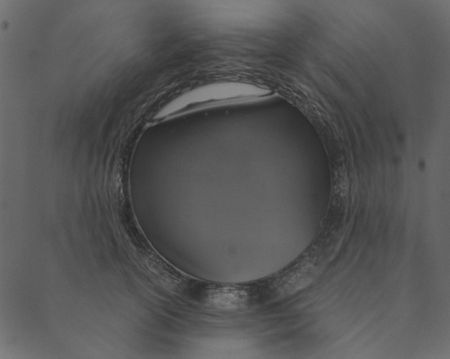 X0000089670754200707121223