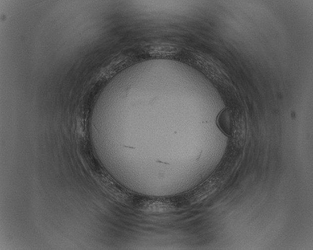 X0000089670755200707121223