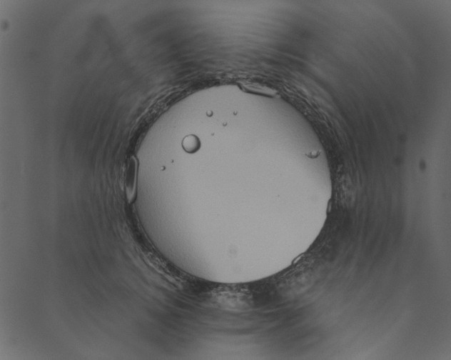 X0000089670756200707121223