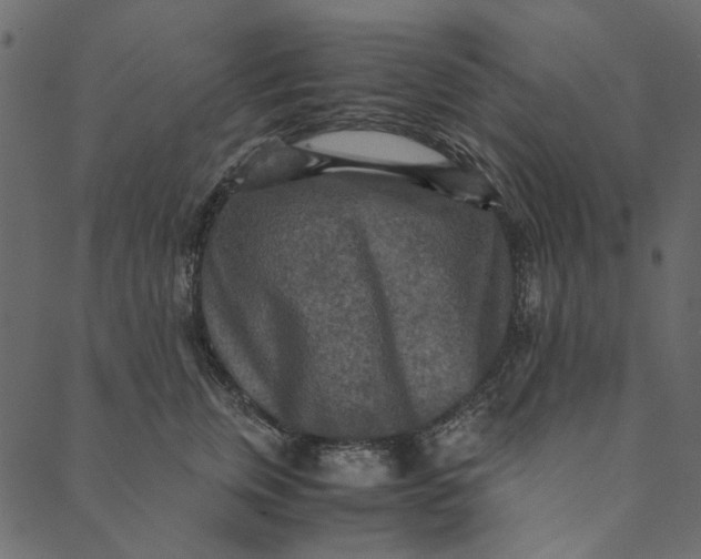 X0000089670759200707121224