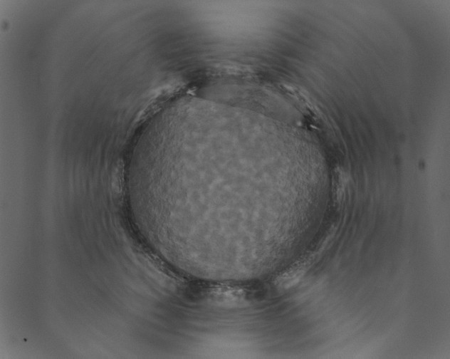 X0000089670760200707121224