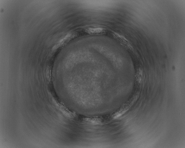 X0000089670763200707121224