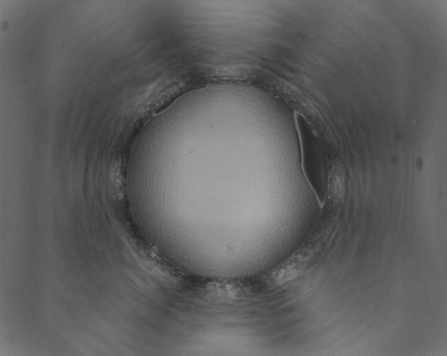 X0000089670764200707121224