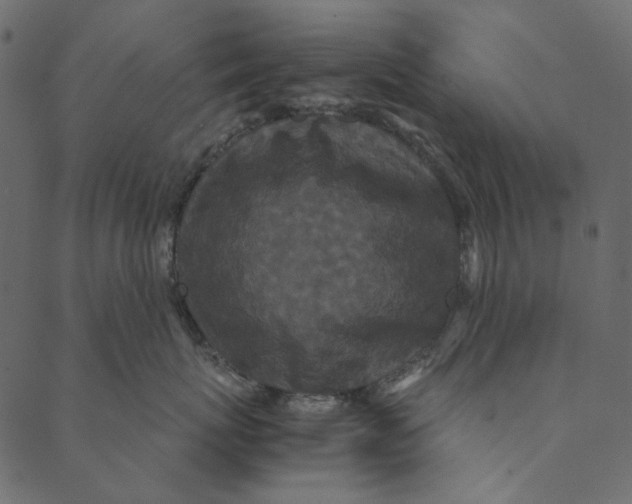 X0000089670767200707121224