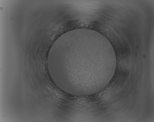 X0000089670769200707121223