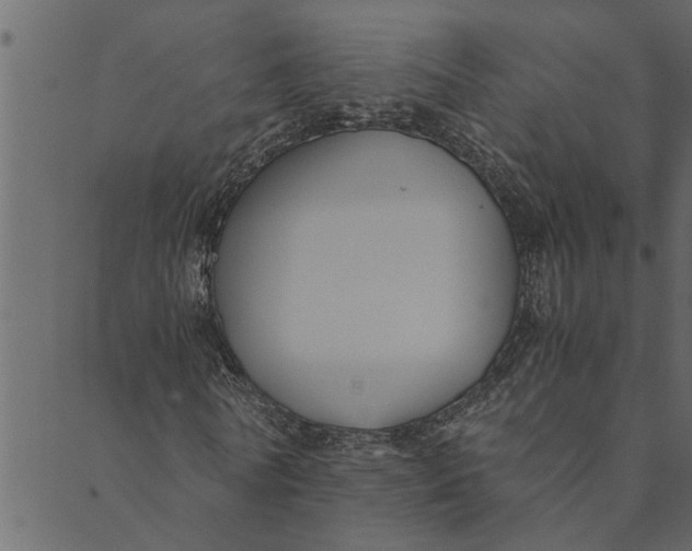 X0000089670770200707121223