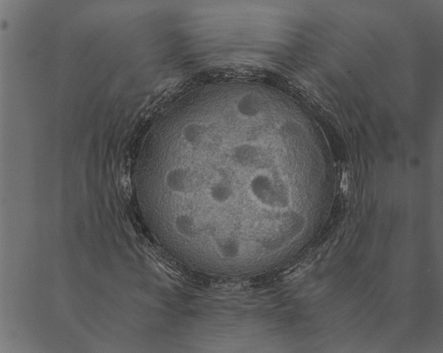 X0000089670771200707121223