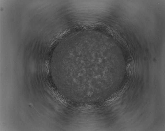 X0000089670772200707121223