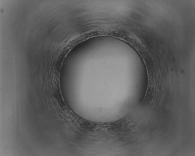 X0000089670773200707121223