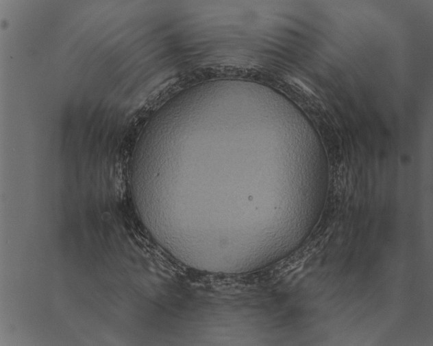 X0000089670774200707121223