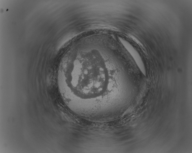 X0000089670775200707121223